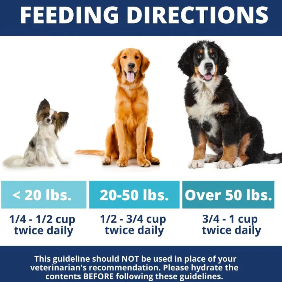 Under the Weather Rice, Hamburger & Bone Broth Freeze Dried Bland Diet for Dogs, 6-oz