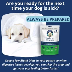 Under the Weather Rice, Hamburger & Sweet Potato Freeze Dried Bland Diet for Dogs, 6-oz