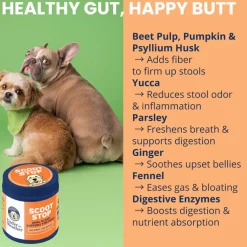Under the Weather Scoot Stop Anal Gland Support Chews for Dogs, 60-count