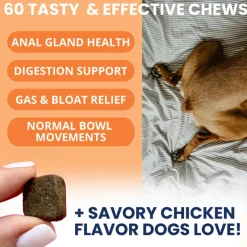 Under the Weather Scoot Stop Anal Gland Support Chews for Dogs, 60-count