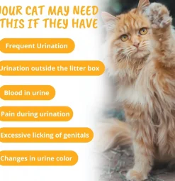 Under the Weather Urinary Soft Chews for Cats, 60 count