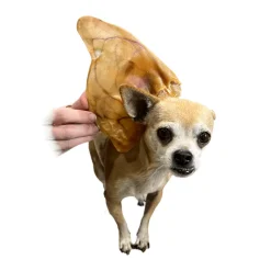 USA Pig Ears - Large