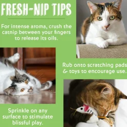 Van Ness Fresh-Nip Organic Catnip For Cats (1 oz)