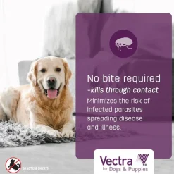 Vectra Flea and Tick Spot Treatment for Medium Dogs & Puppies, 21-55 lbs