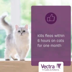 Vectra for Cats, 9 lbs and Over