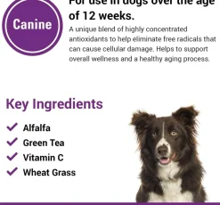 Vet Classics Antioxidants With Coenzyme Q-10 for Dogs (120 chewable tablets)