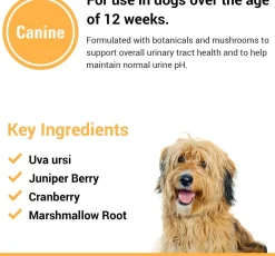 Vet Classics Urinary Tract Support for Dogs (120 Chew Tabs)