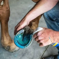 Vetericyn Equine Hoof Care (8 oz)