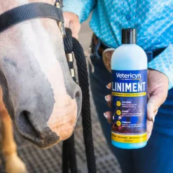 Vetericyn Mobility Equine Liniment Treatment