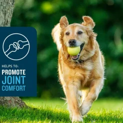 VetIQ Advanced Hip & Joint Supplement for Dogs (60 soft chews)