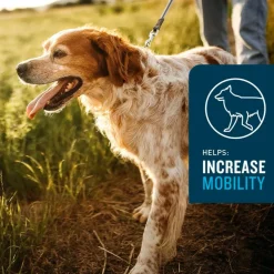 VetIQ Advanced Hip & Joint Supplement for Dogs (60 soft chews)