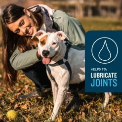 VetIQ Advanced Hip & Joint Supplement for Dogs (60 soft chews)