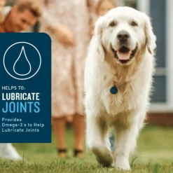 VetIQ Hip & Joint Soft Chew Supplement for Dogs (60 count)