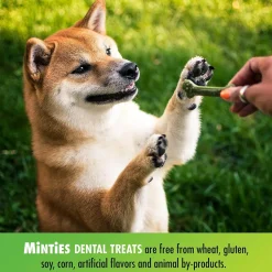 VetIQ Minties Dental Treats for Medium & Large Dogs