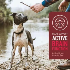 VetIQ Multivitamin Soft Chew Supplement for Dogs (60 soft chews)