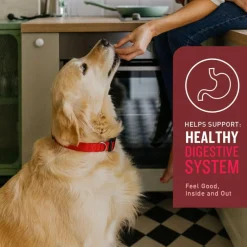 VetIQ Multivitamin Soft Chew Supplement for Dogs (60 soft chews)