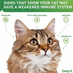 Vetoquinol Enisyl F Lysine Bites for Cats (6.35 oz)