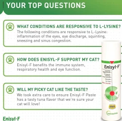 Vetoquinol Enisyl-F Paste for Cats (100 mL)