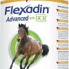 Vetoquinol Flexadin UC-II Joint Health Support for Horses (1.32 lb)