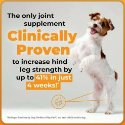 VetriScience Extra Strength Healthy Hip & Joint GlycoFlex Plus for Small Dogs, Duck Flavor (60 Chews)