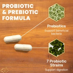 VetriScience Extra Strength Gut Health Vetri Mega Probiotic Capsules for Dogs & Cats