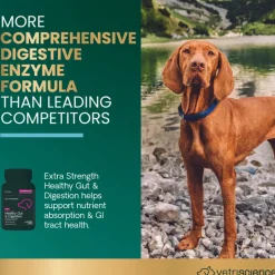 VetriScience Extra Strength Healthy Gut & Digestion Tablets for Dogs (120 Chewable Tablets)