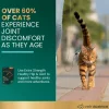 VetriScience Extra Strength Healthy Hip & Joint Chews for Cats (60 Soft Chews)