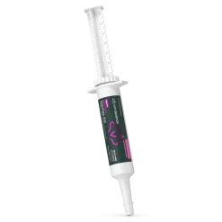 VetriScience Fast Balance G.I. Paste Gastrointestinal Support for Cats & Dogs (35 cc)