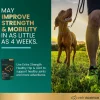 VetriScience GlycoFlex 3 Extra Strength Healthy Hip & Joint Chews for Dogs, Chicken Flavor (120 Soft Chews)