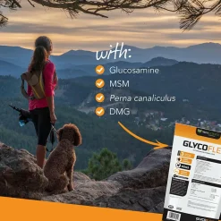 VetriScience GlycoFlex 3 Joint Supplement for Small Dogs (60 soft chews)