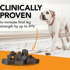 VetriScience GlycoFlex 3 Joint Supplement for Small Dogs (60 soft chews)