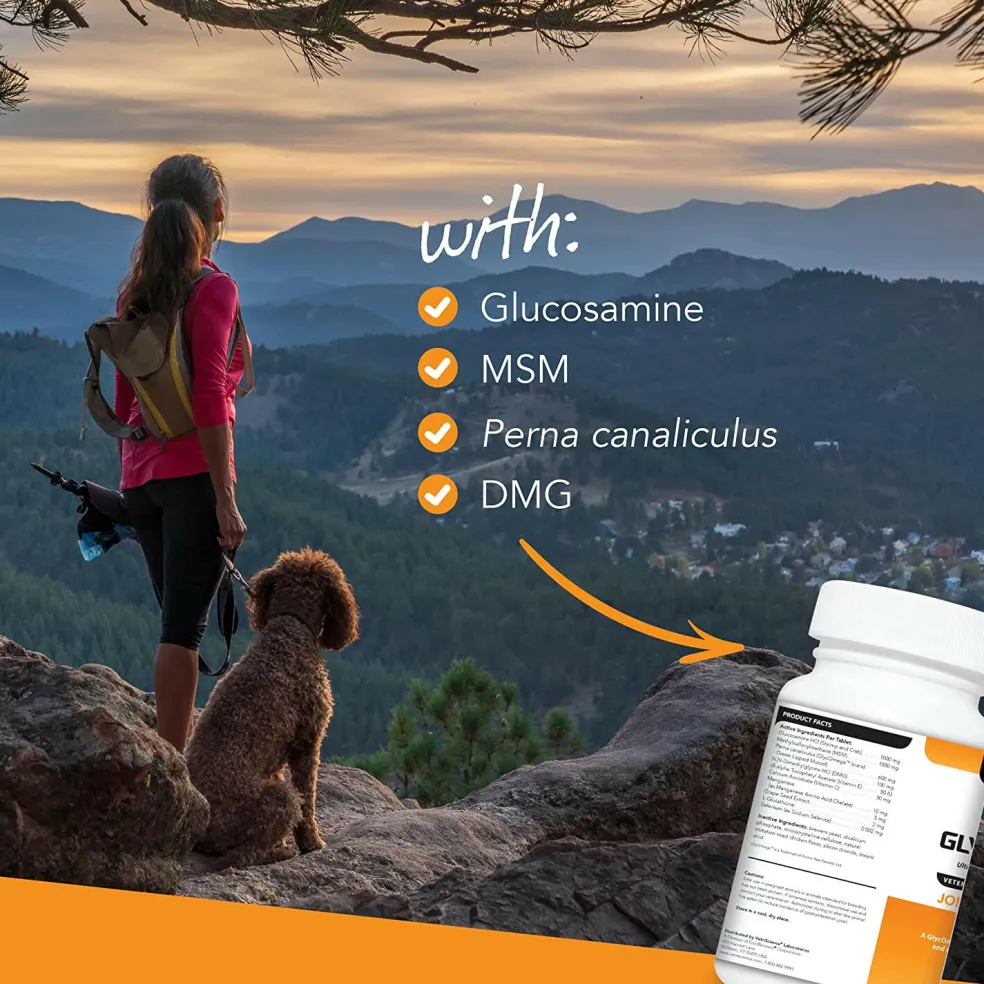 VetriScience GlycoFlex Stage 3 Joint Supplement for Dogs (120 chewable tablets)