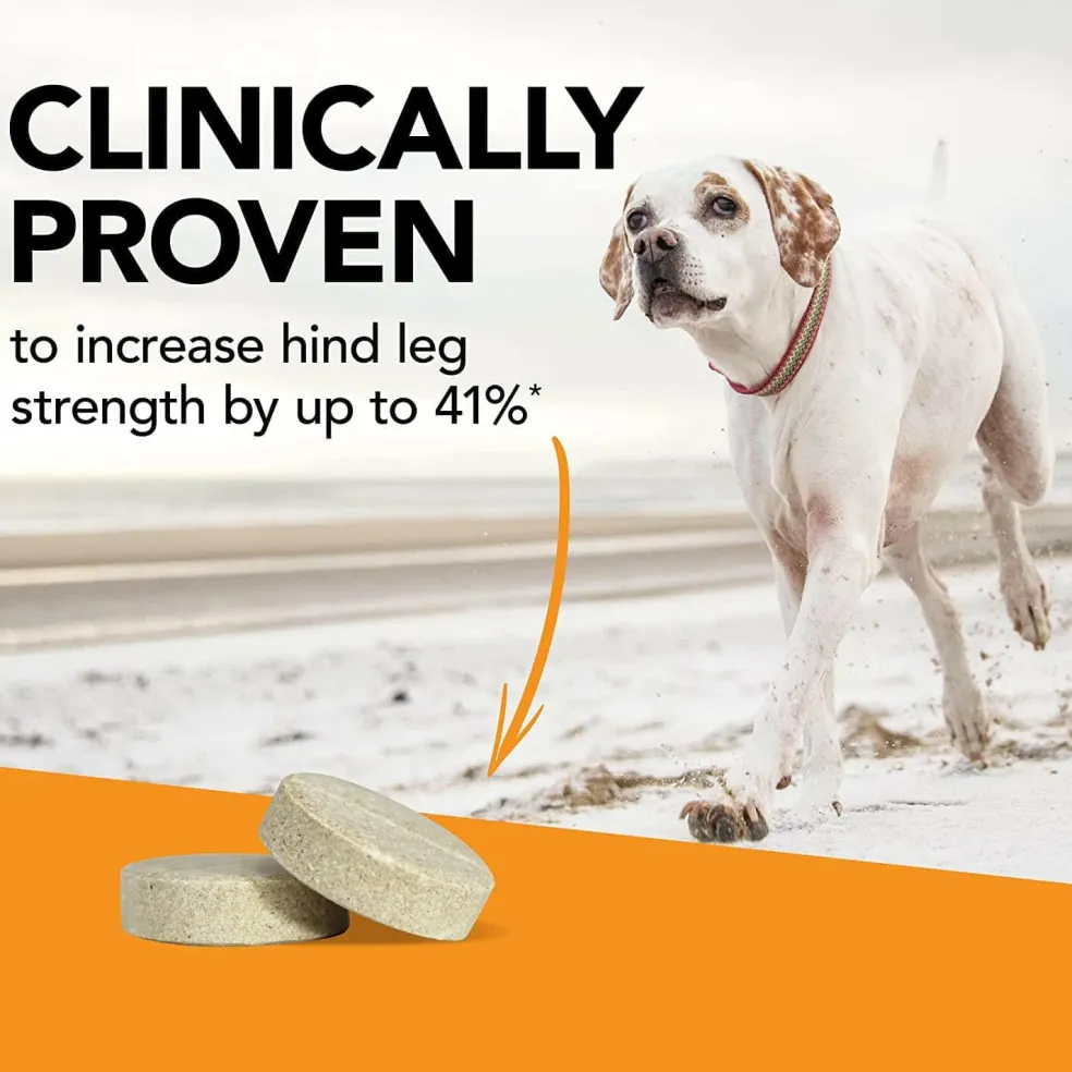 VetriScience GlycoFlex Stage 3 Joint Supplement for Dogs (120 chewable tablets)