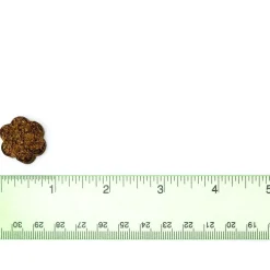 VetriScience Golden Years Calm & Confident Behavior Chew Supplement for Senior Dogs (60 chews)