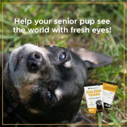 VetriScience Golden Years Clear and Bright Eye Health for Senior Dogs (60 soft chews)