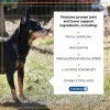 VetriScience Golden Years Strength and Stability Joint Support for Senior Dogs (60 soft chews)