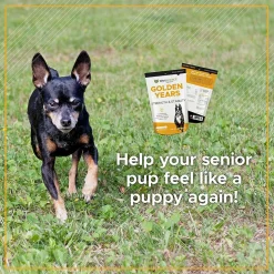 VetriScience Golden Years Strength and Stability Joint Support for Senior Dogs (60 soft chews)