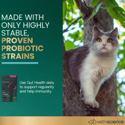 VetriScience Gut Healthy Probiotic Everyday Supplement for Cats (60 chews)