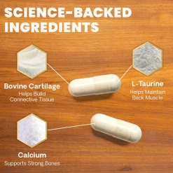 VetriScience Healthy Spine & Disc Capsule for Dogs (180 Capsules)