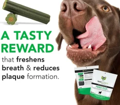 VetriScience Perio Plus Dental Chew for Dogs (30 count)