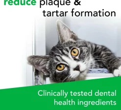 VetriScience Perio Plus Feline Dental Bites (60 count)
