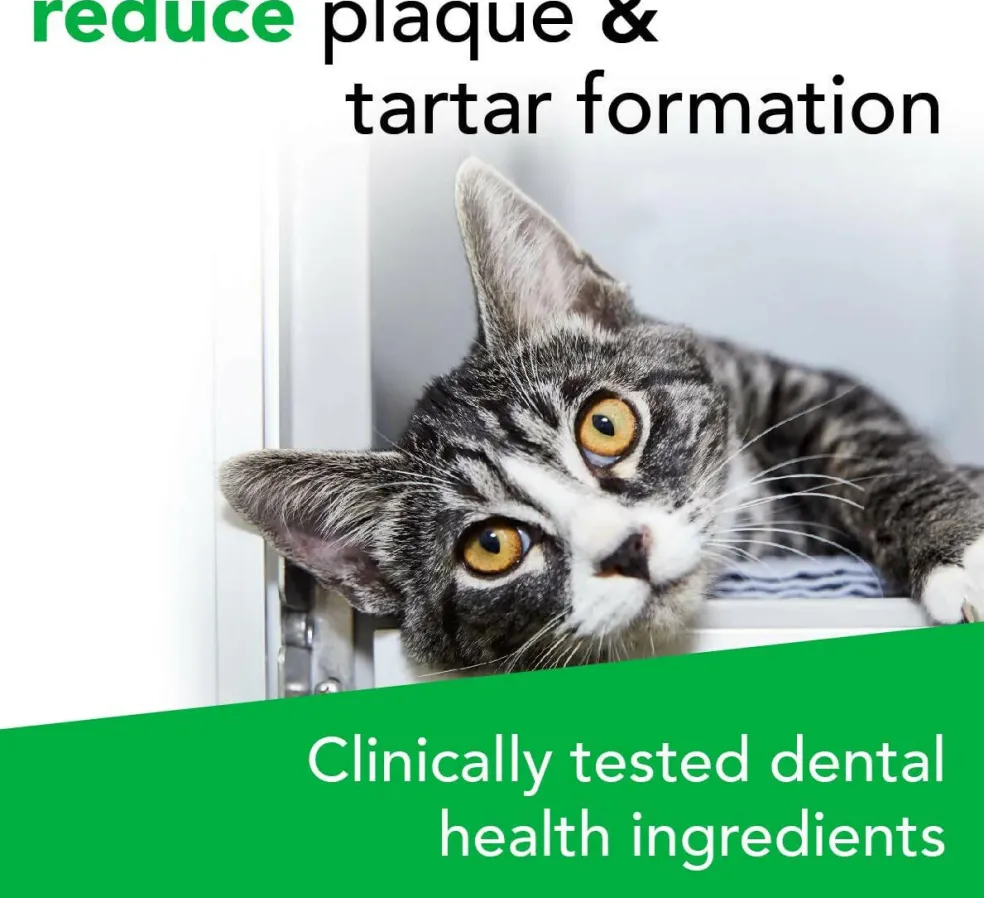 VetriScience Perio Plus Feline Dental Bites (60 count)