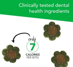 VetriScience Perio Plus Feline Dental Bites (60 count)