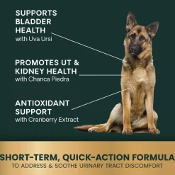 VetriScience Quick Action UT Health Tablet for Dogs (90 Chewable Tablets)
