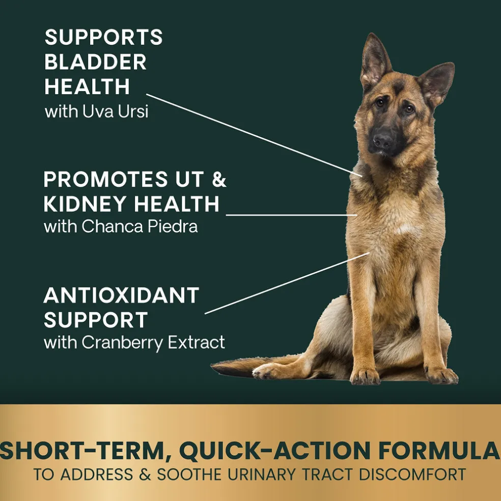 VetriScience Quick Action UT Health Tablet for Dogs (90 Chewable Tablets)