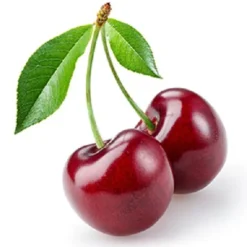 Vet's Best Best Bitter Cherry Spray (7.5 oz)