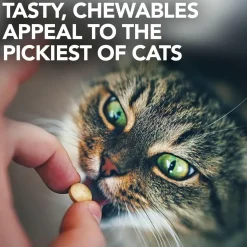 Vet's Best Urinary Tract Support For Cats (60 tablets)