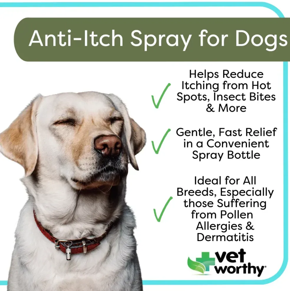 Vet Worthy Anti-Itch Spray for Dogs 8 oz