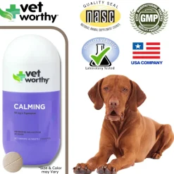 Vet Worthy Calming Soft Chews for Dogs (45 ct)