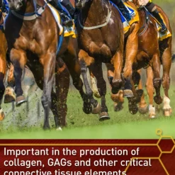 Vita Flex Pure C Antioxidant & Connective Tissue Support For Horses (2 lb)